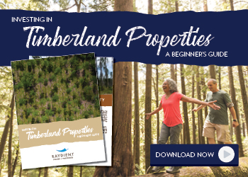 Investing in timberland properties: download guide