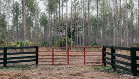The Burbank Tract - lot 2 - Marion County, Florida