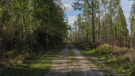 The Burbank Tract - lot 11 - Marion County, Florida