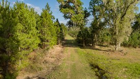 The Burbank Tract - lot 7 - Marion County, Florida