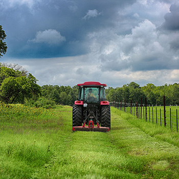 Tractor in a field