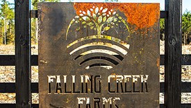 Falling Creek Farms - Lot 11 - Columbia County, Florida