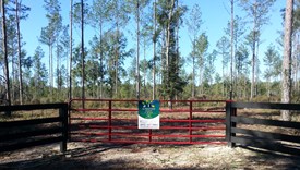 Suwannee Retreats Lot 1 - Suwannee County, Florida