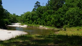 River Bend Lot 7 - Allen Parish, Louisiana