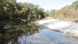 River Bend Lot 6 - Allen Parish, Louisiana