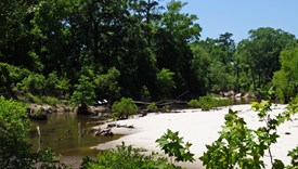 River Bend Lot 13 - Allen Parish, Louisiana