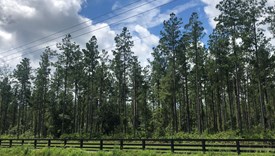 Heartwood Farms - Lot 3 - Nassau County, Florida