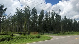 Heartwood Farms - Lot 5 - Nassau County, Florida